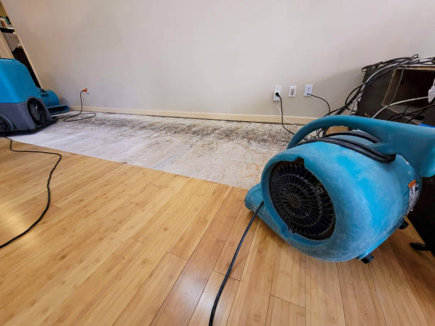 Professional Basement Flood Cleanup technician working in Cedar Grove, NJ